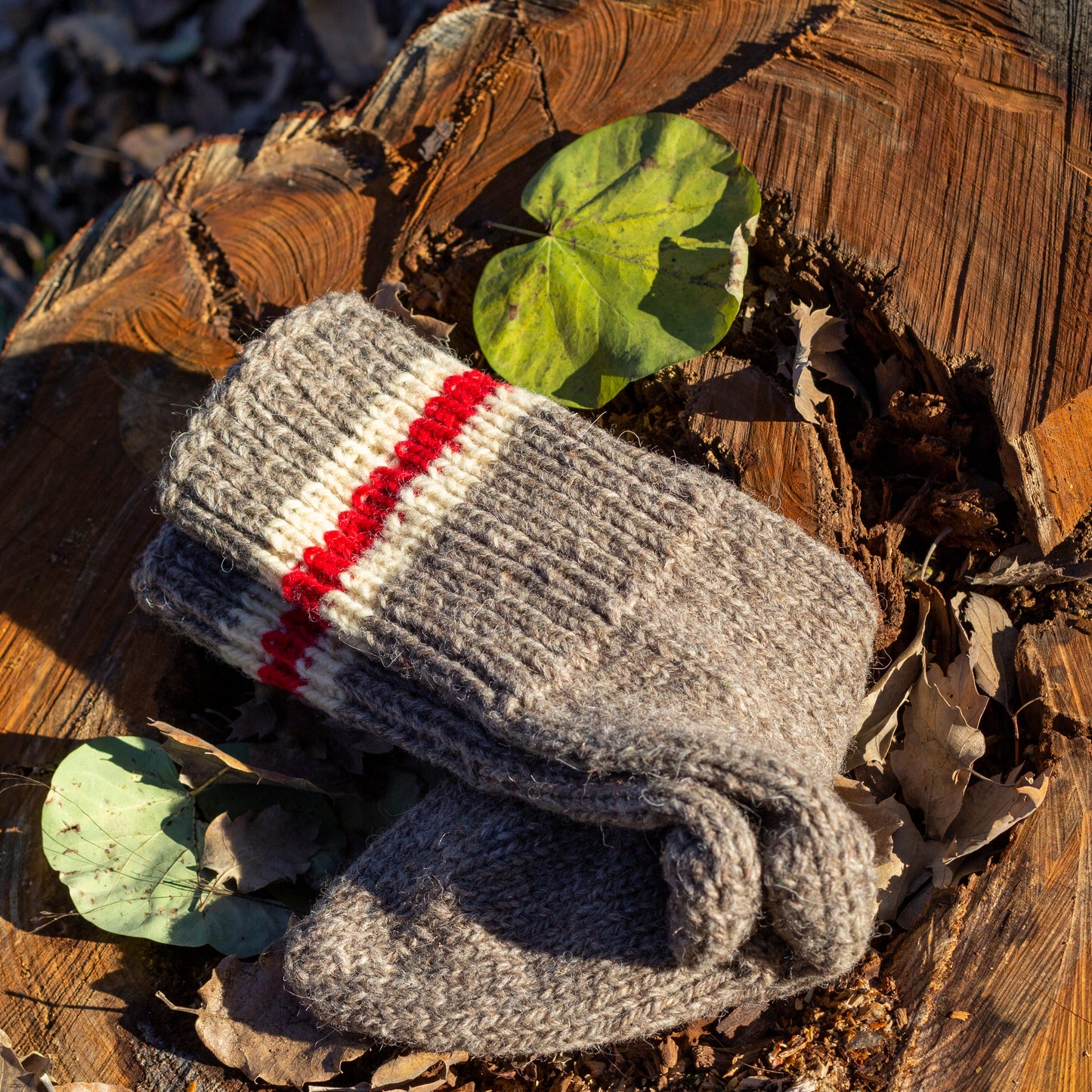 Knitted wool socks in beige and 3 stripes in order white, red, white, placed on a wooden stump background