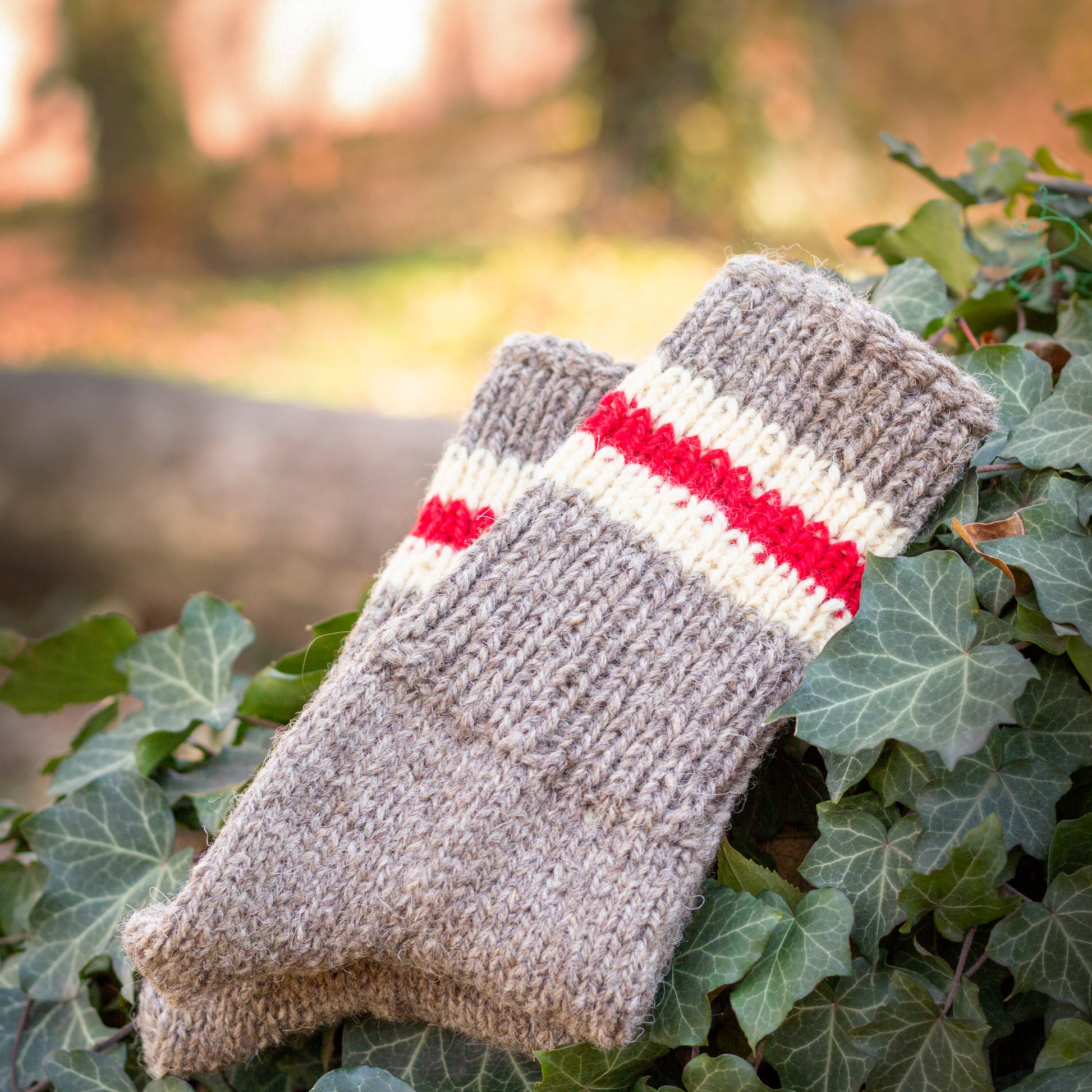 Knitted wool socks in beige with three stripes in order: white, red, white, set against a background of green leaves.